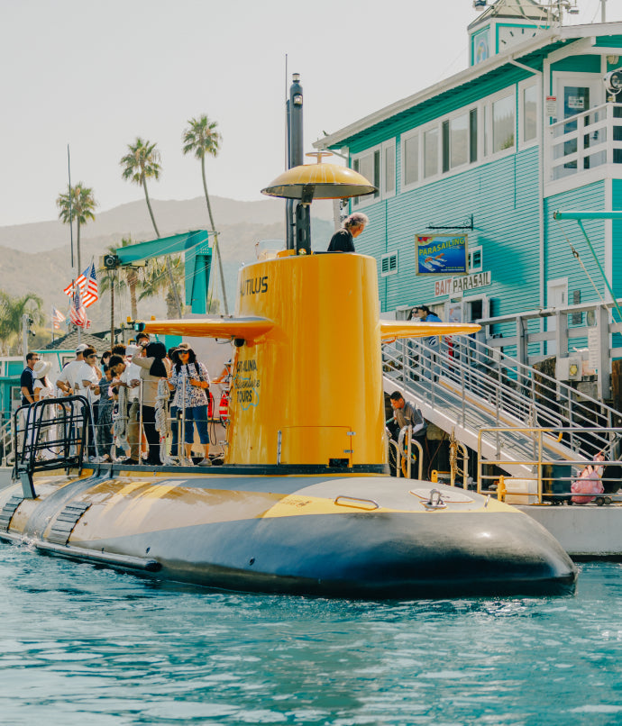 Catalina Island's Yellow Submarine Tour