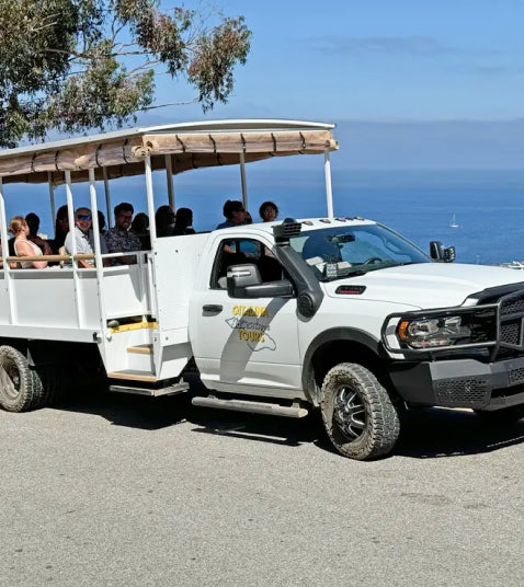 Avalon City Tour