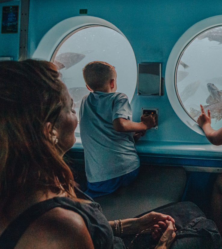 Catalina Island's Yellow Submarine Tour