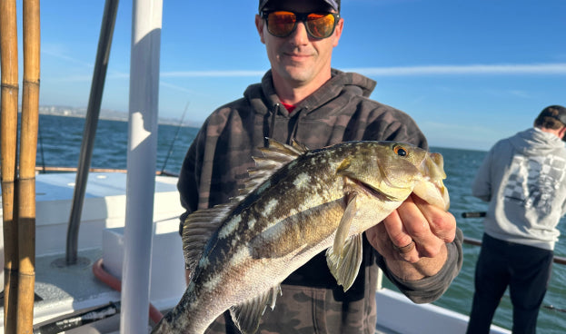 Promotion banner 2