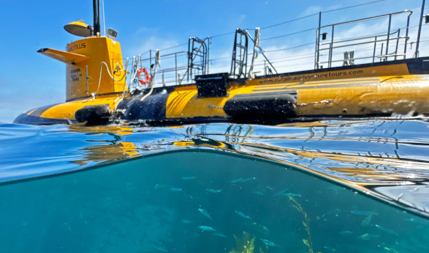 Catalina Island Tours