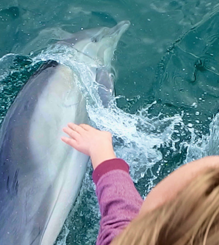 Ultimate Whale Watching (Private Rental)