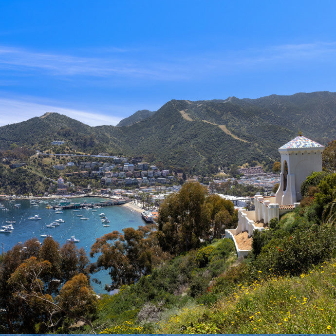 Catalina Flyer Ferry