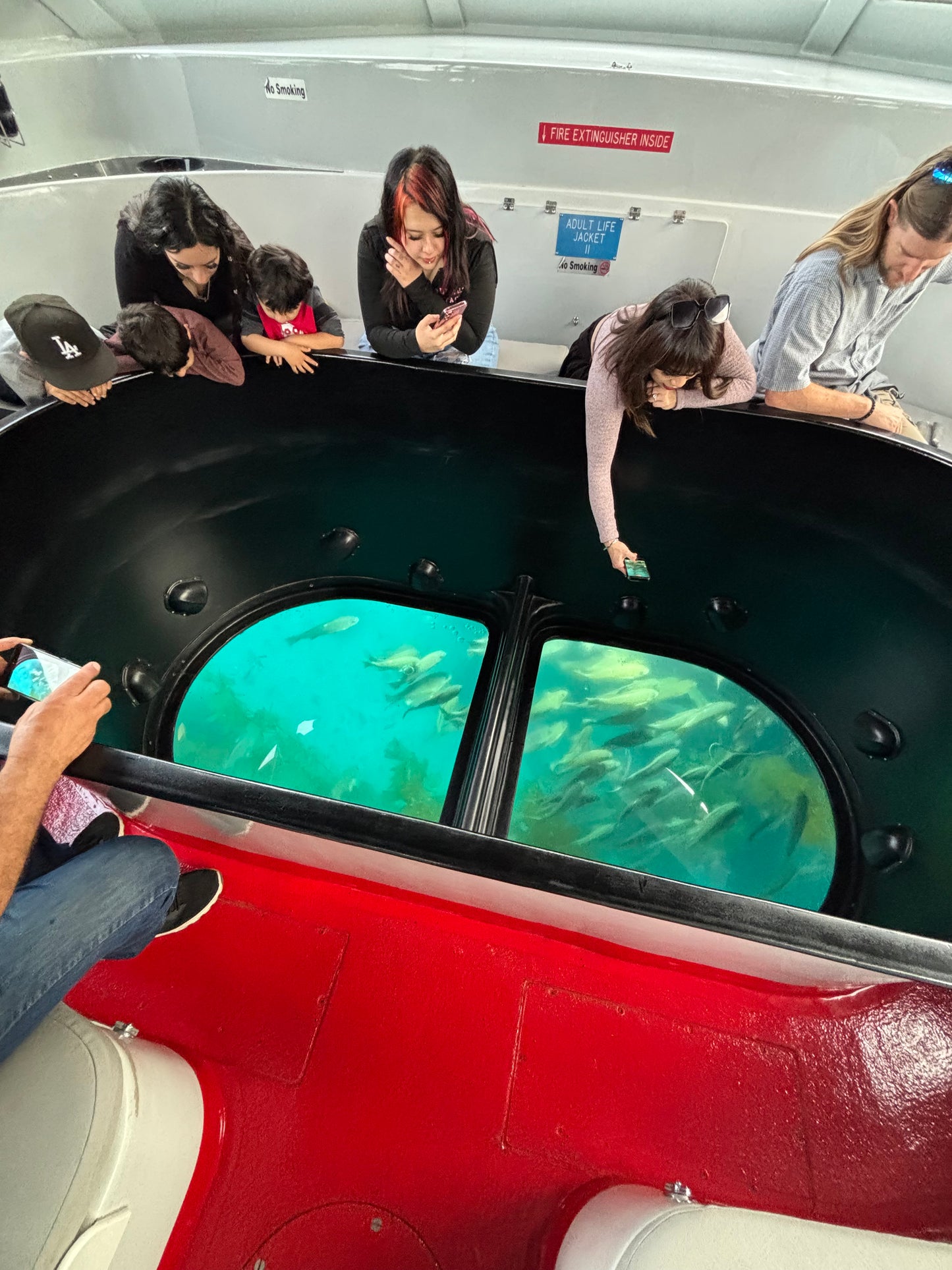 Catalina Island's Glass Bottom Boat Tour