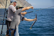 1/2 Day (5-6 Hours) Fishing Trip