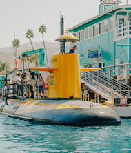 Catalina Island's Yellow Submarine Tour