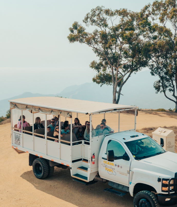 Inside Adventure Tour