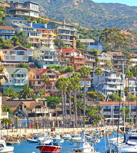 Avalon City & Mt. Alda Tour