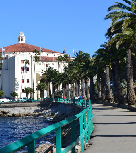 Avalon City & Mt. Alda Tour