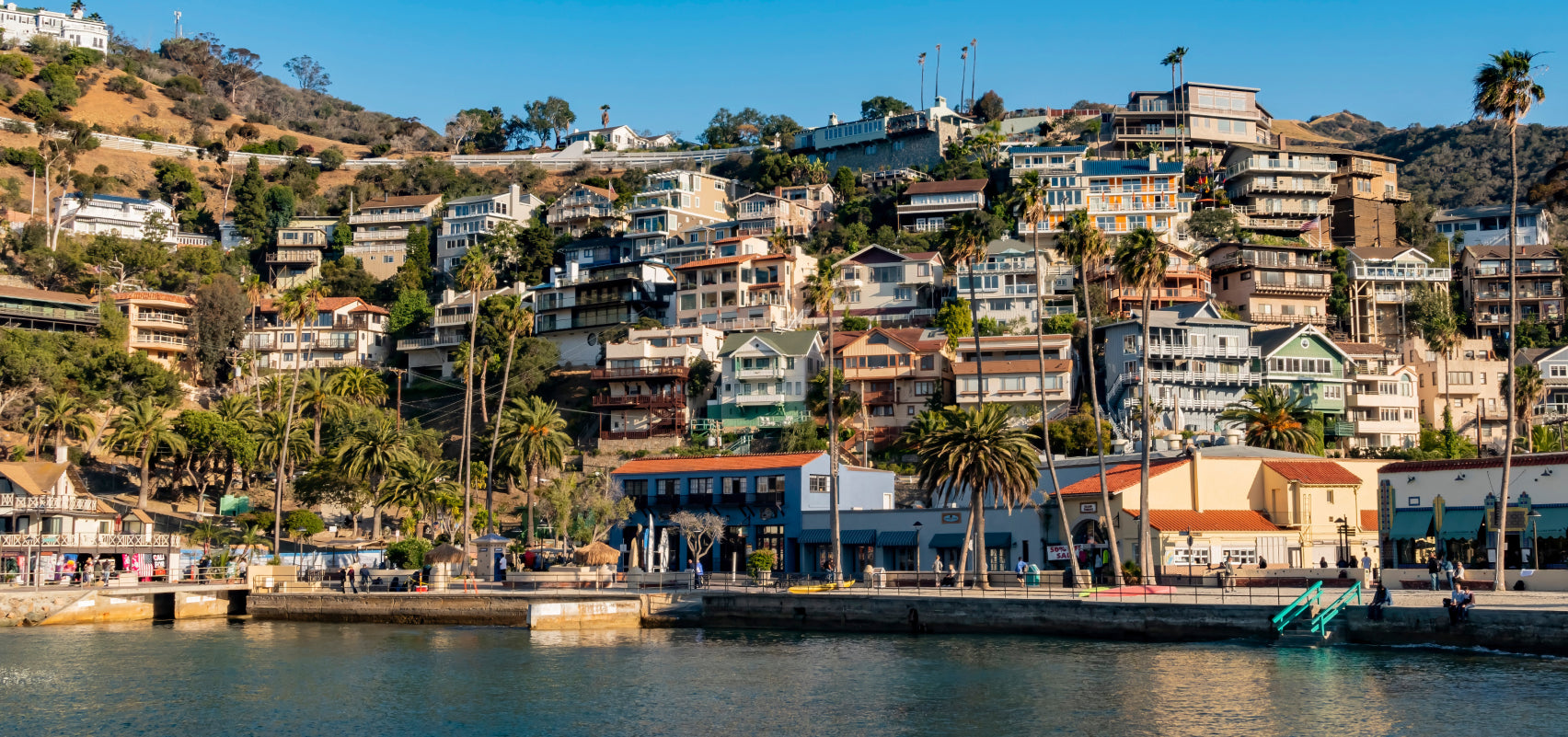 Avalon City & Mt. Alda Tour