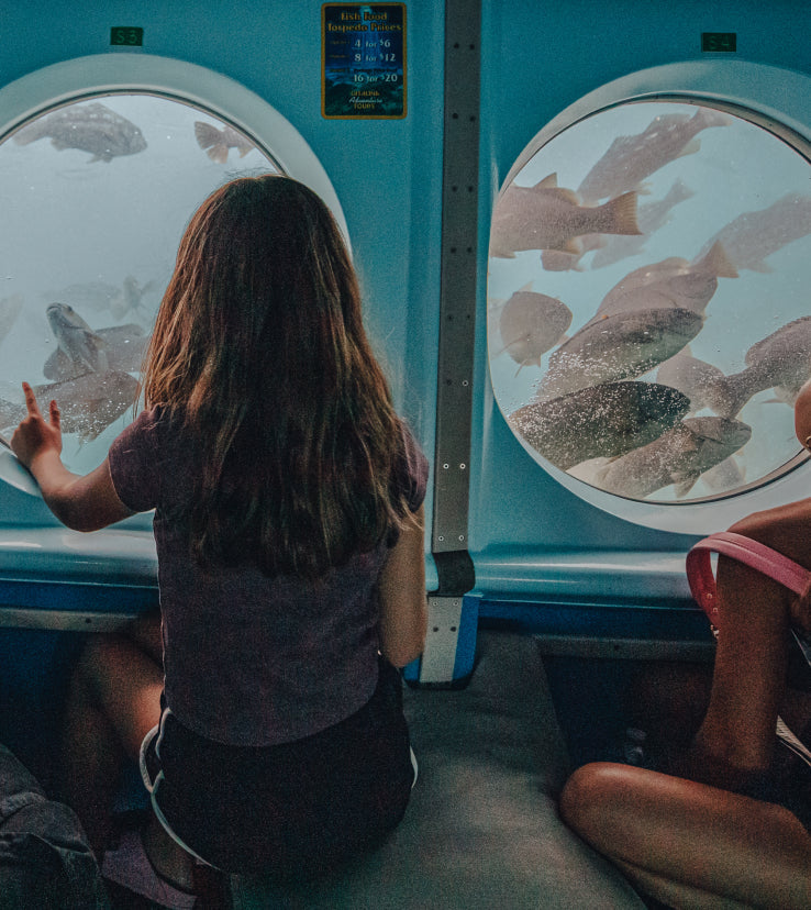 Catalina Island's Yellow Submarine Tour