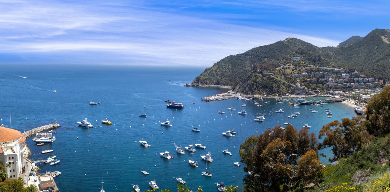 Catalina Island's Glass Bottom Boat Tour