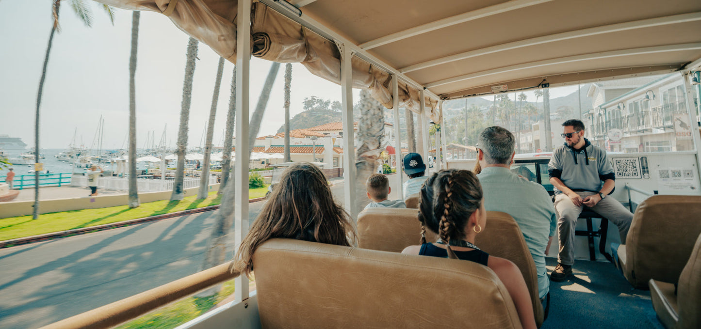 Avalon City Tour