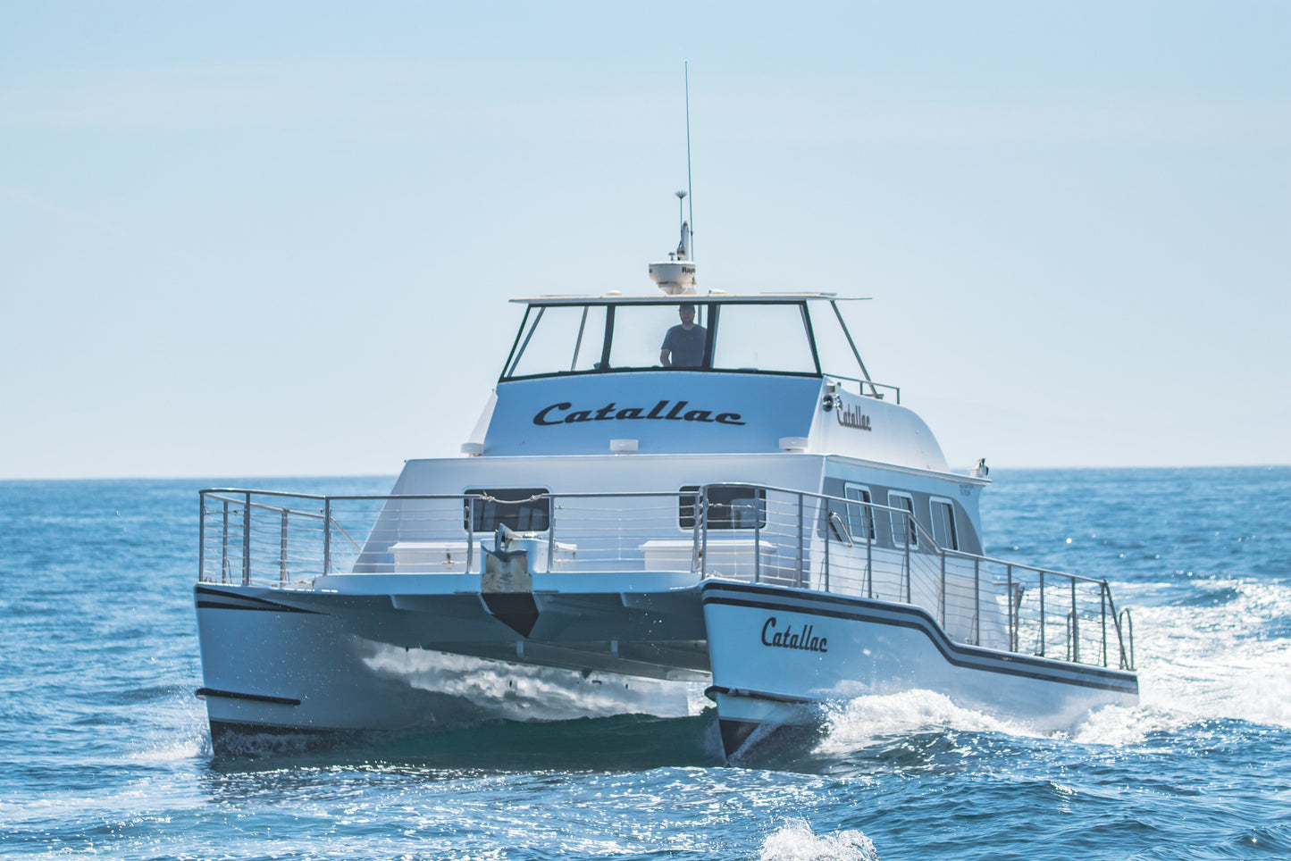 Luxury VIP Whale Watching Cruise