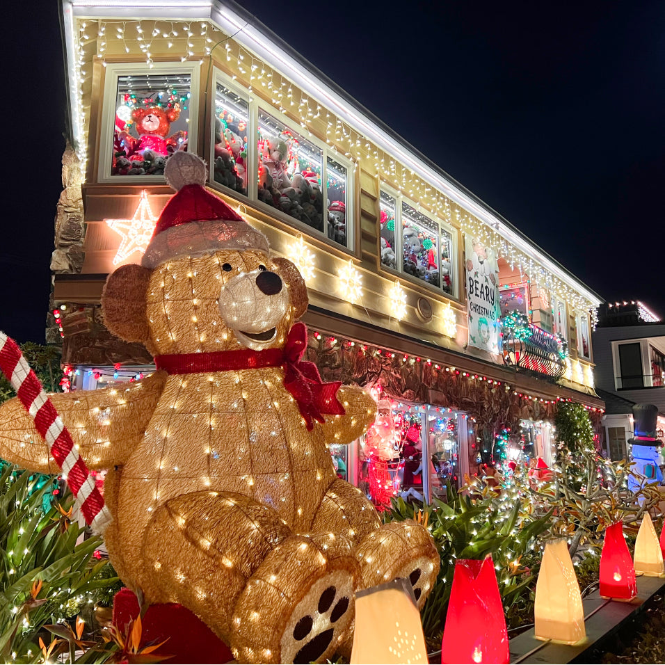 Christmas Boat Parade Cruise