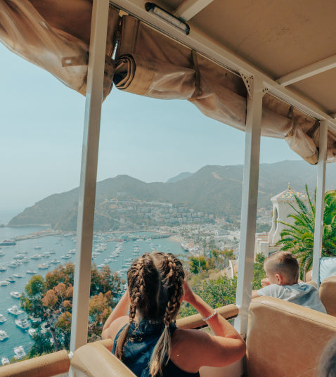 Avalon City & Mt. Alda Tour