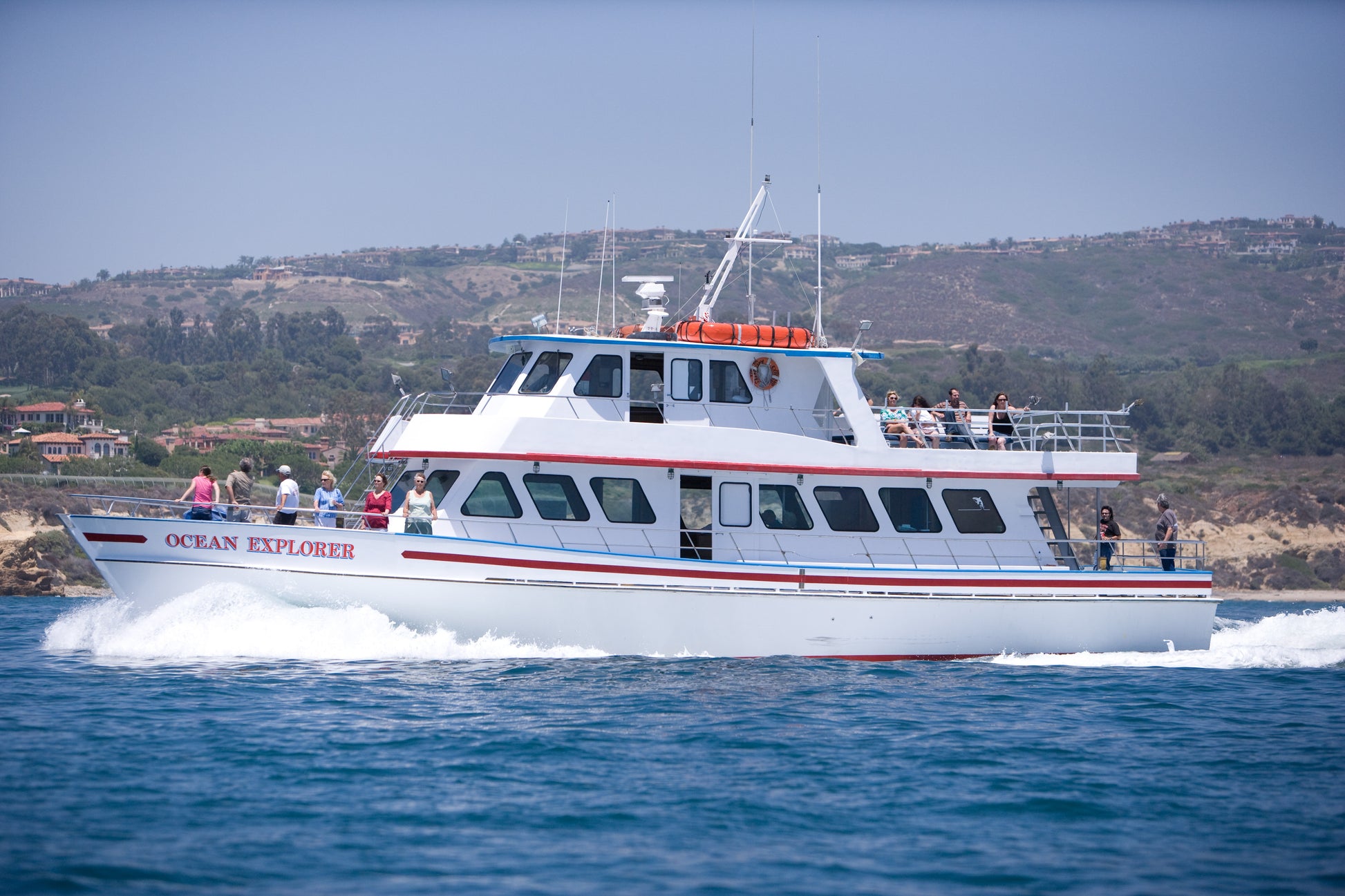 Signature Whale Watching & Dolphin Cruise