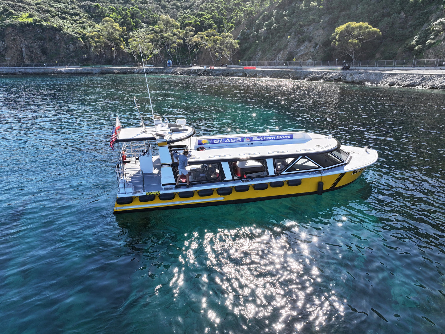 Catalina Island's Glass Bottom Boat Tour