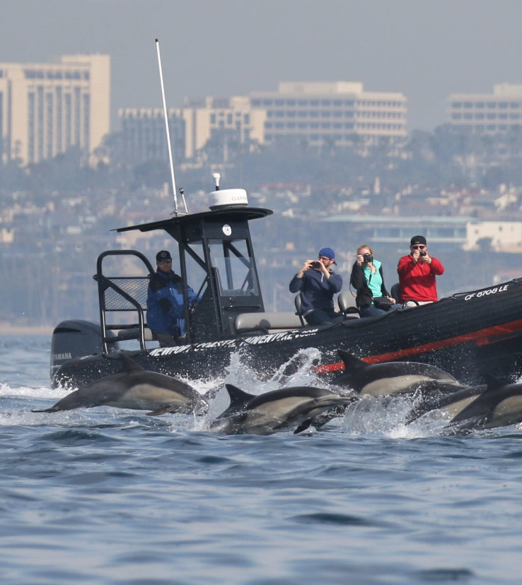 Ultimate Whale Watching (Private Rental)