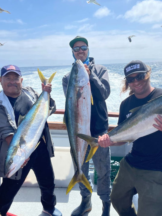 Deep Sea Fishing Trips