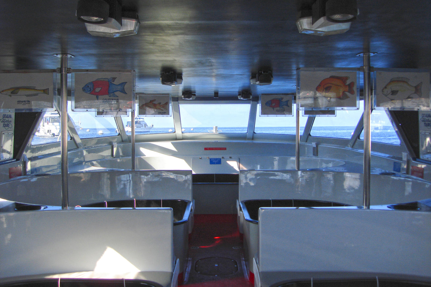 Catalina Island's Glass Bottom Boat Tour