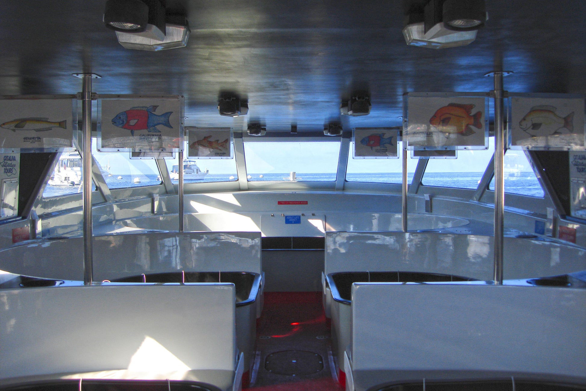 Catalina Island's Glass Bottom Boat Tour