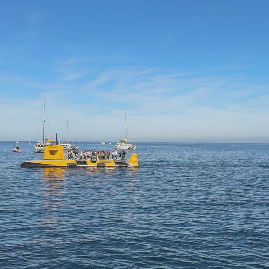 Catalina Island's Yellow Submarine Tour