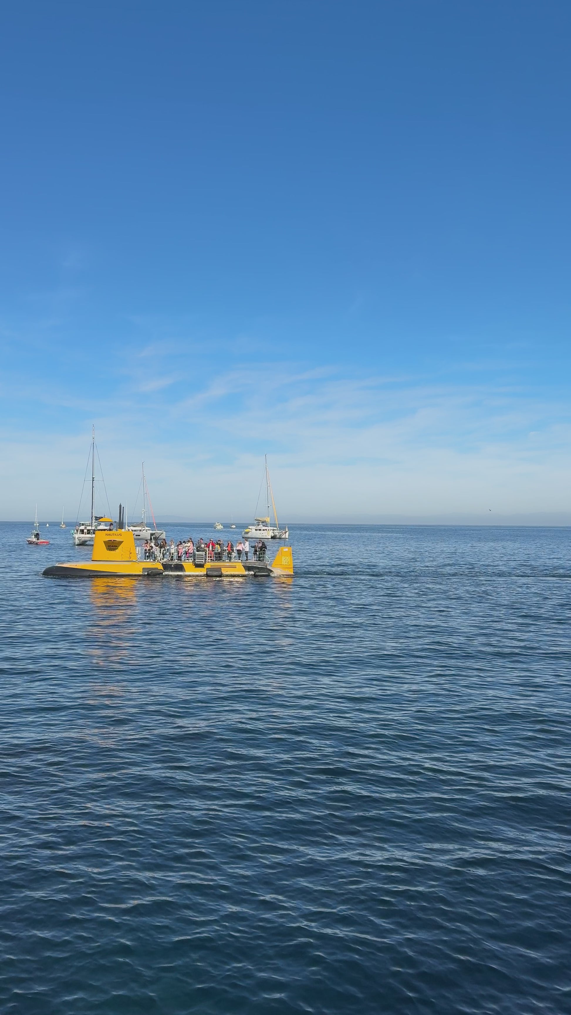 Catalina Island's Yellow Submarine Tour