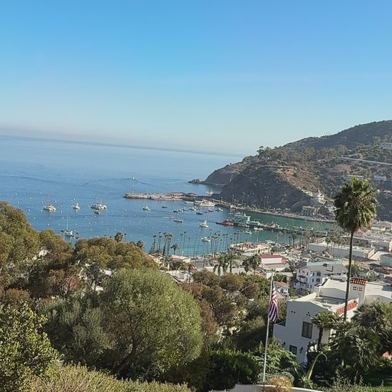 Catalina Island's Yellow Submarine Tour