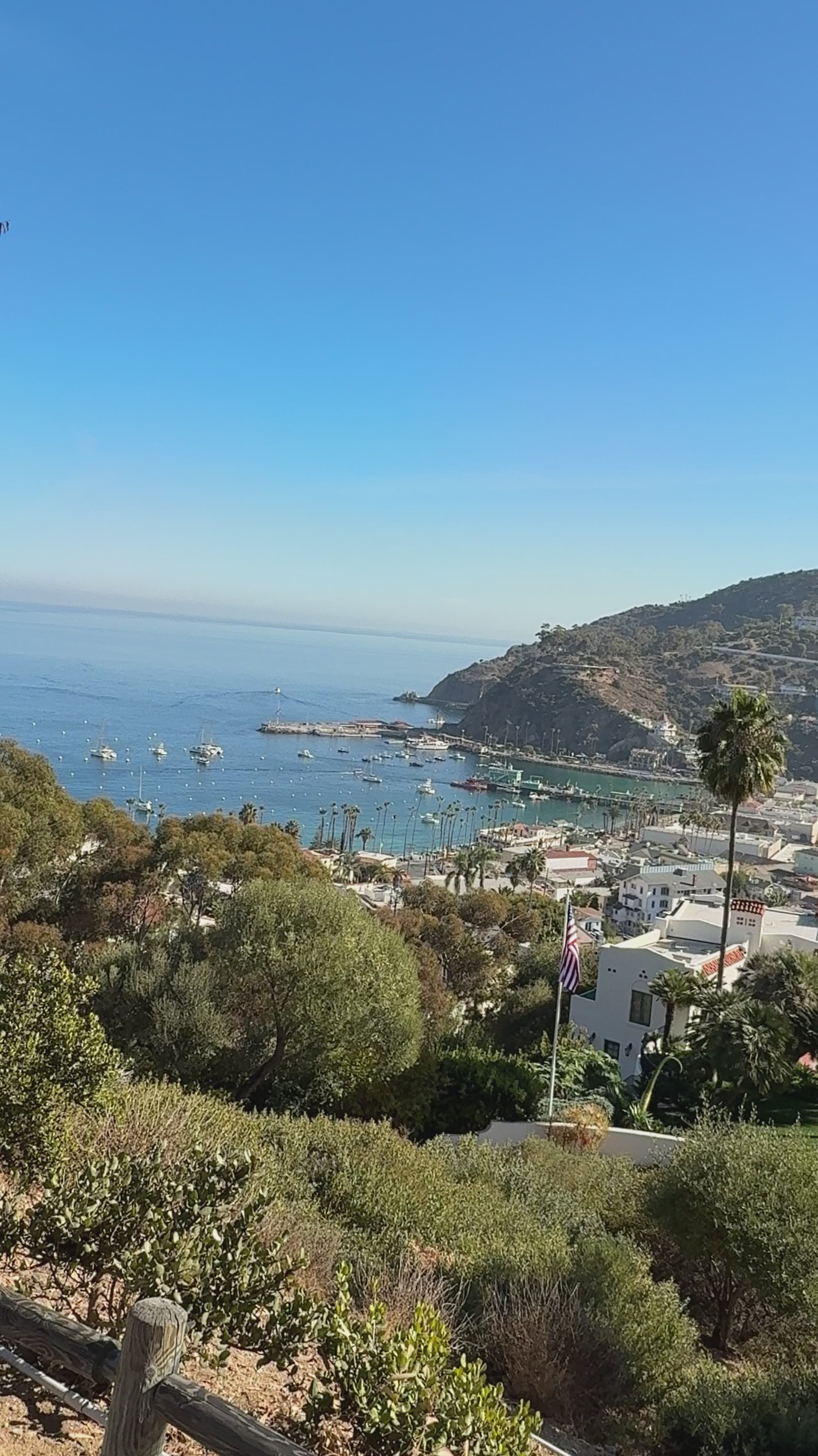 Catalina Island's Yellow Submarine Tour