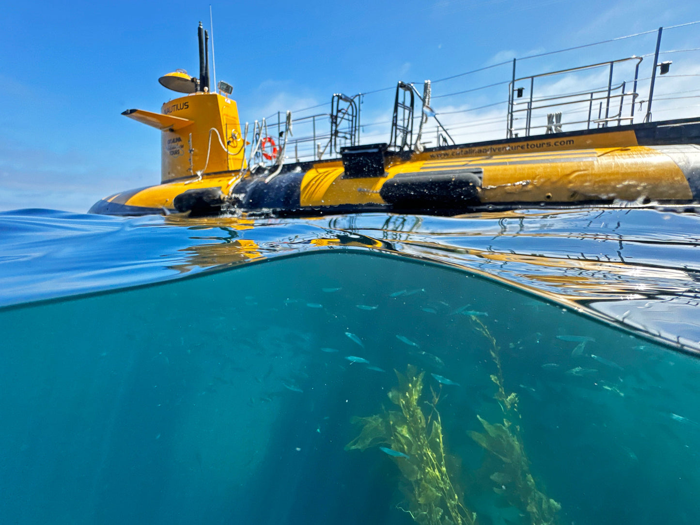 Catalina Island's Yellow Submarine Tour