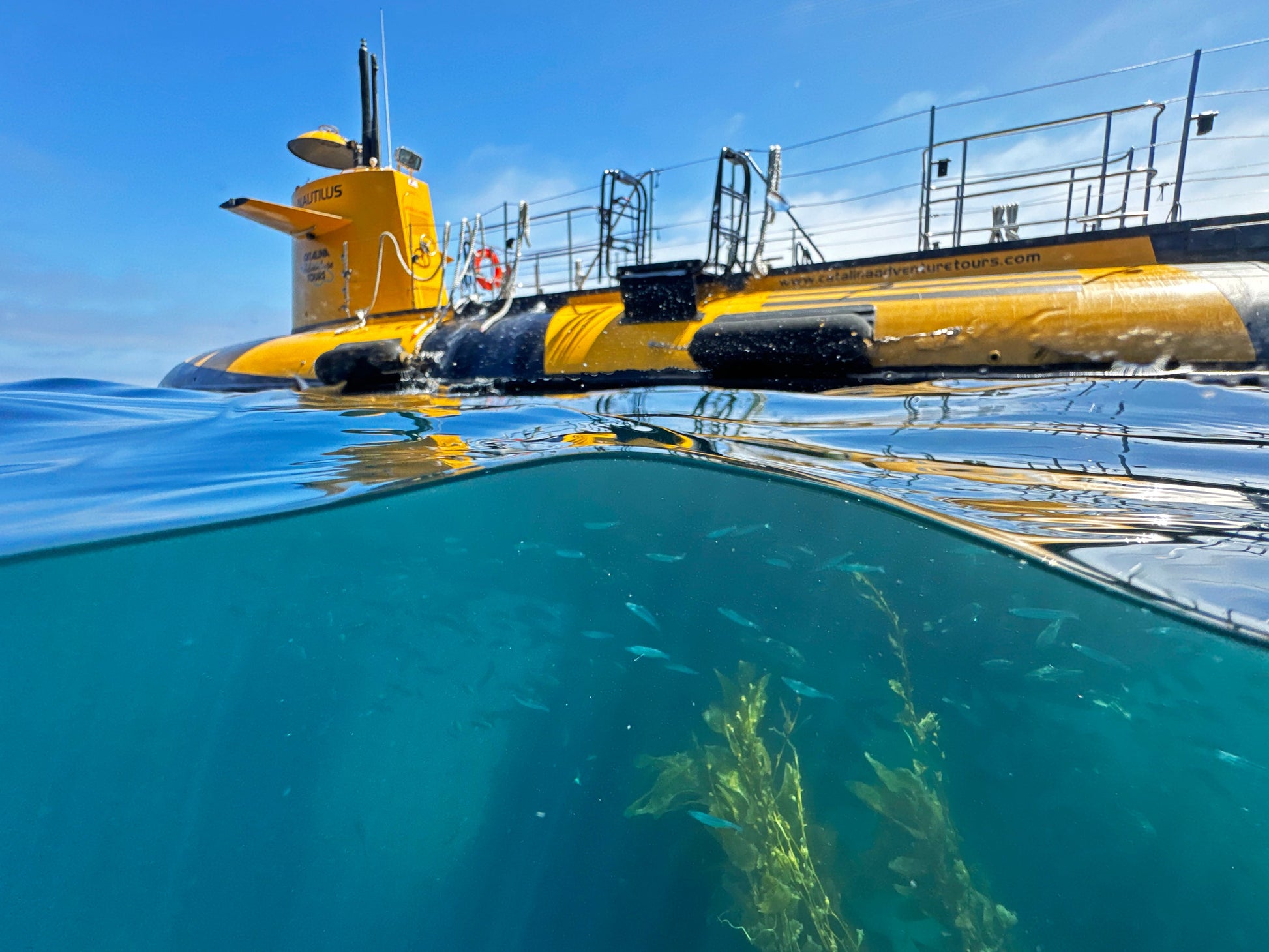 Catalina Island's Yellow Submarine Tour